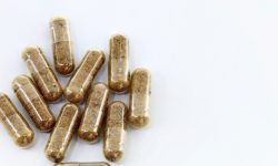 El trasplante de microbiota fecal puede modular la respuesta a la inmunoterapia contra el cáncer