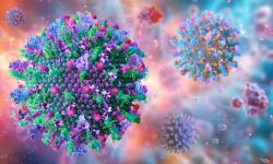 El virus del herpes reorganiza el genoma humano para favorecer su multiplicación
