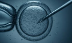 El webinar del Máster de Medicina y Genética Reproductiva abordará casos y aplicaciones de la genética en reproducción.