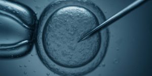 El webinar del Máster de Medicina y Genética Reproductiva abordará casos y aplicaciones de la genética en reproducción.