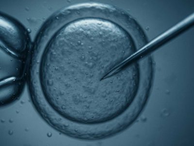 El webinar del Máster de Medicina y Genética Reproductiva abordará casos y aplicaciones de la genética en reproducción.