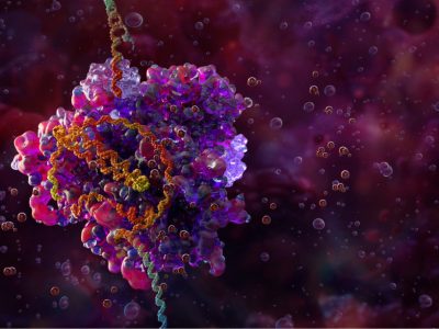 Múltiples y diversos ensayos evalúan la seguridad y eficacia de las herramientas CRISPR para el tratamiento de enfermedades. Imagen: Adobe Express.