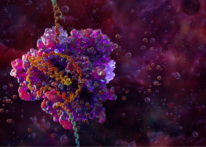 Múltiples y diversos ensayos evalúan la seguridad y eficacia de las herramientas CRISPR para el tratamiento de enfermedades. Imagen: Adobe Express.