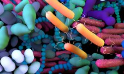 Entre los microorganismos que pueden causar infecciones respiratorias en las personas con fibrosis quística se encuentran bacterias, hongos y virus. Imagen: Adobe Express.