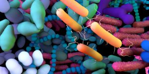 Entre los microorganismos que pueden causar infecciones respiratorias en las personas con fibrosis quística se encuentran bacterias, hongos y virus. Imagen: Adobe Express.