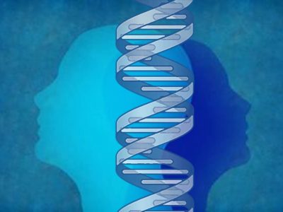 Factores genéticos influyen en el desarrollo de enfermedades complejas como la esquizfrenia o el lupus.