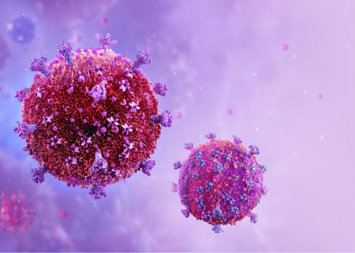 Estructura del VIH. Imagen: Adobe Express.