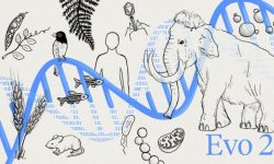 Evo 2 aprende del lenguaje que comparten los genomas de todos los organismos vivos