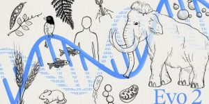 Evo 2 aprende del lenguaje que comparten los genomas de todos los organismos vivos