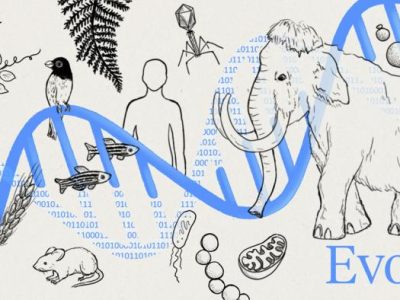 Evo 2 aprende del lenguaje que comparten los genomas de todos los organismos vivos