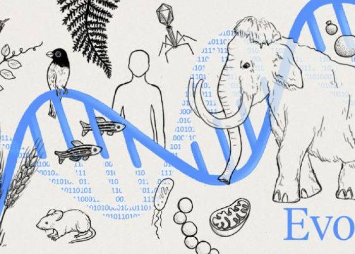 Evo 2 aprende del lenguaje que comparten los genomas de todos los organismos vivos