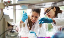 Existen numerosas Gigantas de la Genética, mujeres que contribuyeron a los avances en esta disciplina
