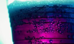 Con las limitaciones de extrapolar  resultados obtenidos en ratón al ser humano, el estudio pretende alertar a la población sobre los riesgos que conlleva una ingesta excesiva de bebidas edulcoradas ricas en fructosa, tanto para su salud como para la de sus hijos. Imagen: Pink Sherbet Photography from USA (Fizzy Purple Grape Soda) [CC BY 2.0 (http://creativecommons.org/licenses/by/2.0)].