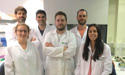 Miembros del equipo de investigación del CIBER en la Universitat de València liderado por el Dr. Federico Pallardó que ha participado en esta investigación.