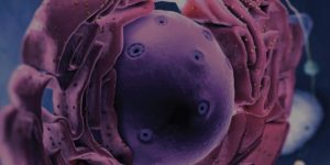 GMG10 Portada destacada