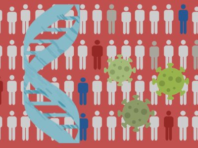 Desde el inicio de la pandemia diferentes estudios han abordado la búsqueda de qué variantes genéticas o genes influyen en la susceptibilidad de una persona a tener COVID-19 o afectan a la gravedad de la enfermedad. Imagen: Genotipia.
