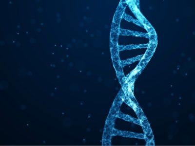 Genotipia y LongSeq impulsaran el conocimiento de secuenciacion por nanoporos.