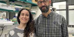 Amanda González-Blanco y Marco Milan, investigadores del IRB Barcelona que han liderado el estudio que conecta las mitocondrias con la microcefalia