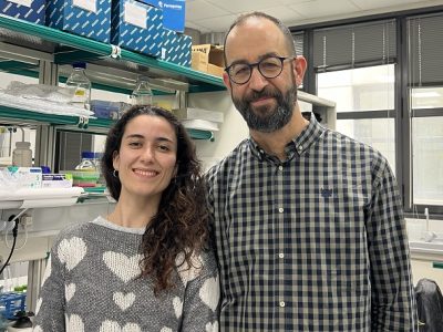 Amanda González-Blanco y Marco Milan, investigadores del IRB Barcelona que han liderado el estudio que conecta las mitocondrias con la microcefalia
