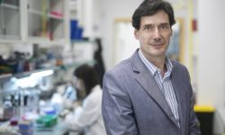 El equipo de investigación dirigido por el Dr. Manuel Serrano ha revelado que la vitamina B12 también desempeña un papel fundamental en la reprogramación celular. Imagen: IRB Barcelona.