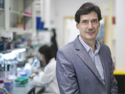 El equipo de investigación dirigido por el Dr. Manuel Serrano ha revelado que la vitamina B12 también desempeña un papel fundamental en la reprogramación celular. Imagen: IRB Barcelona.