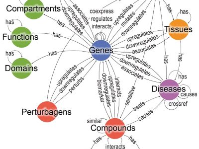 En la Bioteque, la información está estructurada en 12 tipos de entidades biológicas. Imagen: IRB Barcelona.