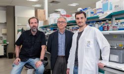 Los investigadores Dr. Sebastián, Dr. Zorzano y Dr. Beltrà, que han participado en el estudio que apunta a la proteína TP53INP2 como clave para hacer frente a la sarcopenia, en el laboratorio del IRB Barcelona.