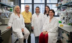 Investigadores del IRB que han participado en el descubrimiento del papel de la neuritina 1 en el tejido adiposo marrón.
