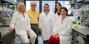 Investigadores del IRB que han participado en el descubrimiento del papel de la neuritina 1 en el tejido adiposo marrón.