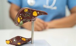 El estudio revela el papel de la ruta de TGF-B e identifica dos nuevas dianas terapéuticas para el colangiocarcinoma.