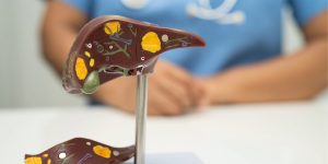 El estudio revela el papel de la ruta de TGF-B e identifica dos nuevas dianas terapéuticas para el colangiocarcinoma.
