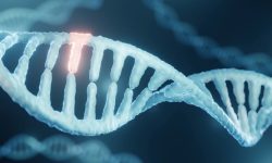 Identifican factores que contribuyen a la resistencia a daños de las células cancerosas.