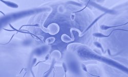 Identifican un donante de esperma portador de una mutación de riesgo a desarrollar cáncer y descendientes afectados. Imagen: Adobe Express.