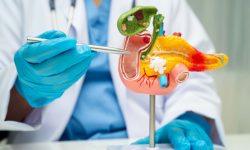 El estudio ha identificado nuevas funciones de la proteína Galactina-1 que promueven el cáncer de páncreas.