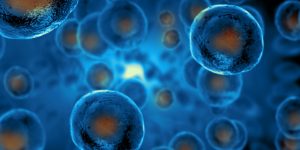 Identifican un nuevo mecanismo que promueve metástasis del cáncer