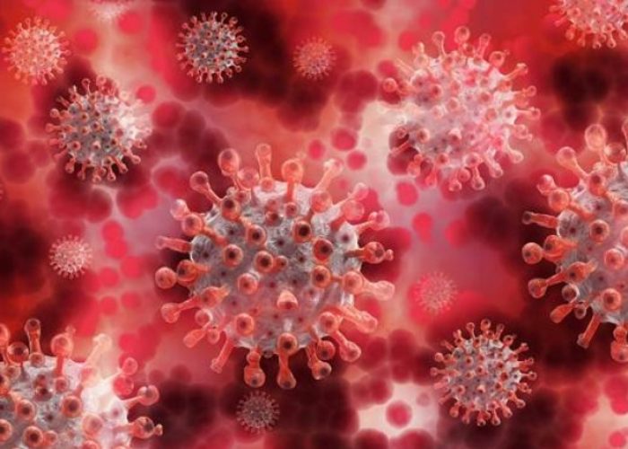 Una variante genética que afecta a la defensa de las células frente a virus, influye en el riesgo a desarrollar COVID-19 grave.