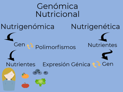 Imagen Nutrigenómica