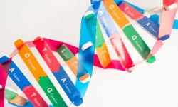 Imagen con las bases del ADN genético copia