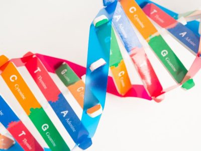 Imagen con las bases del ADN genético copia