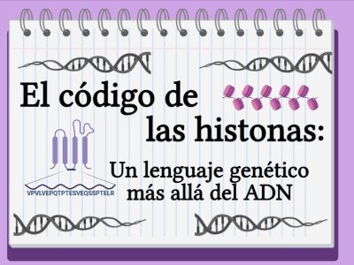 El código de las histonas: un lenguaje genético más allá del ADN