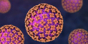 Imagen representativa de hantavirus