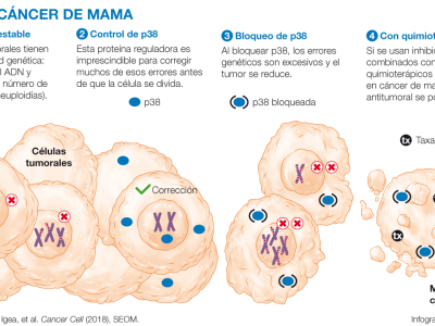 Infografia-p38-cancer-mama-ESP-WEB-1