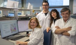 De izquierda a derecha: Rosa Noguera, Isaac Vieco, Sofía Granados y Samuel Navarro, investigadores que han participado en el desarrollo de DANEELpath, herramienta basada en IA para estudiar modelos 3D del tumores infantiles como el neuroblastoma.
