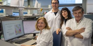 De izquierda a derecha: Rosa Noguera, Isaac Vieco, Sofía Granados y Samuel Navarro, investigadores que han participado en el desarrollo de DANEELpath, herramienta basada en IA para estudiar modelos 3D del tumores infantiles como el neuroblastoma.
