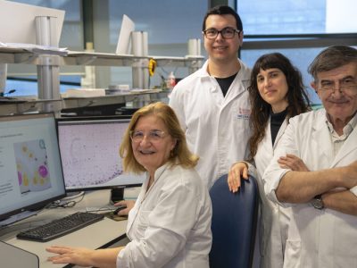 De izquierda a derecha: Rosa Noguera, Isaac Vieco, Sofía Granados y Samuel Navarro, investigadores que han participado en el desarrollo de DANEELpath, herramienta basada en IA para estudiar modelos 3D del tumores infantiles como el neuroblastoma.