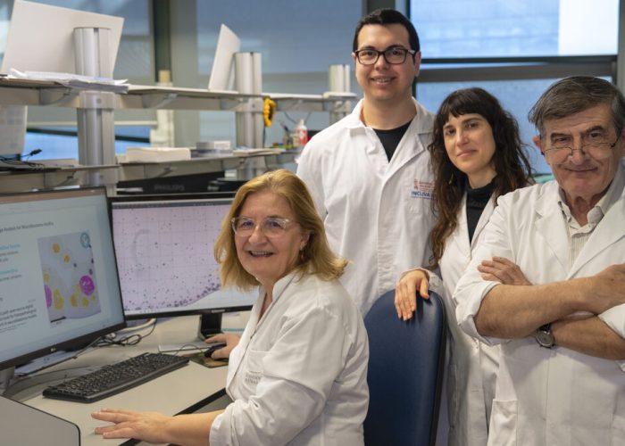 De izquierda a derecha: Rosa Noguera, Isaac Vieco, Sofía Granados y Samuel Navarro, investigadores que han participado en el desarrollo de DANEELpath, herramienta basada en IA para estudiar modelos 3D del tumores infantiles como el neuroblastoma.