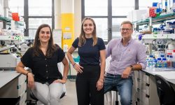 Investigadores que han participado en el estudio sobre una paciente con tumor rabdoide que abre nuevas vías para terapias avanzadas en otros pacientes. Imagen: IRB Barcelona.