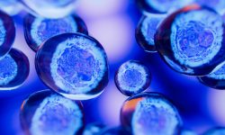 La FDA ha aprobado una terapia génica desarrollada en España para una enfermedad rara.