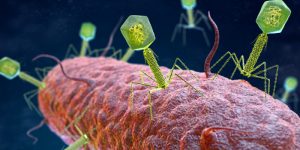 La Fagoteca One Health mejorará la lucha contra las resistencias antimicrobianas.