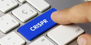 La IA puede ayudar al desarrollo de nuevas herramientas CRISPR.